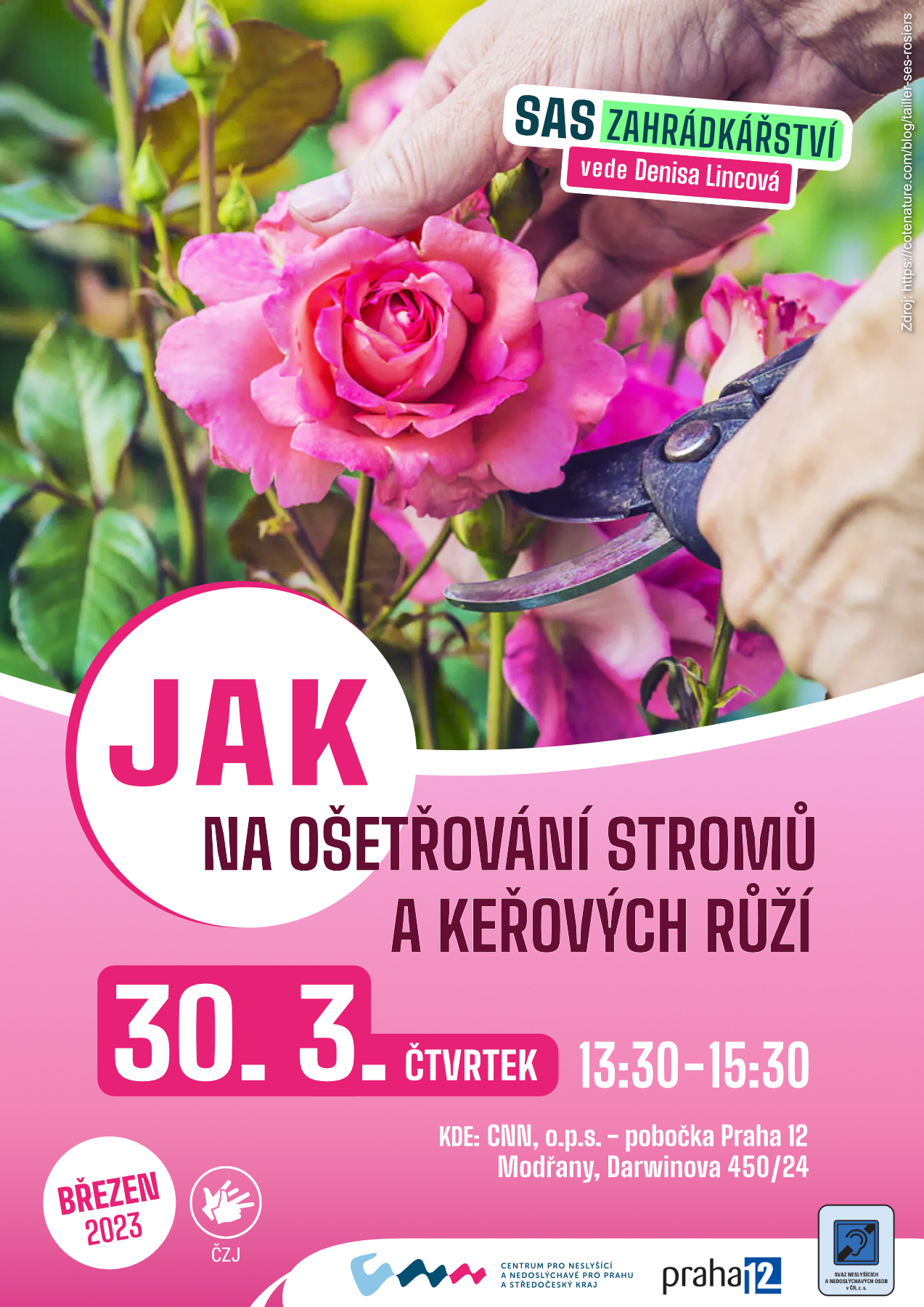 brezen_30_Osetrovani-kerovych-ruzi_2.jpg